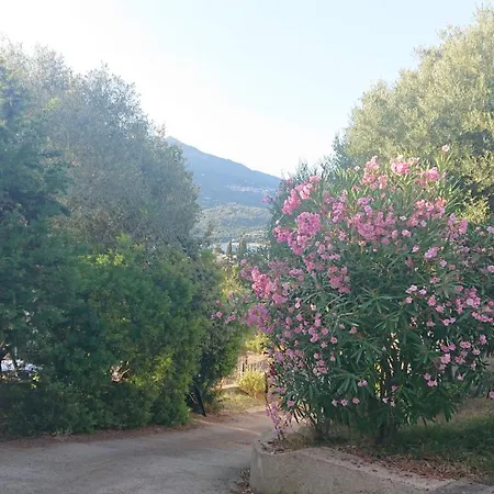 T2 400m Plages Et Commerces Excellent Rapport Qualite Prix! 펜션 *