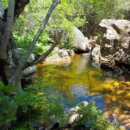 T2 400m Plages Et Commerces Excellent Rapport Qualite Prix!