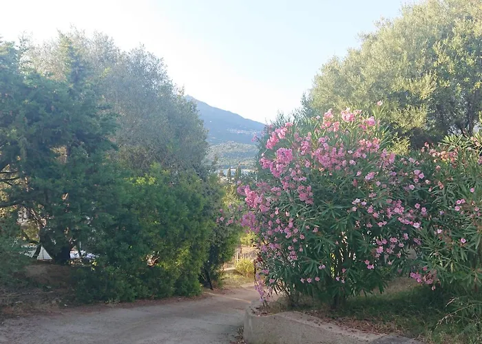 T2 400m Plages Et Commerces Excellent Rapport Qualite Prix! Semesterbostad *