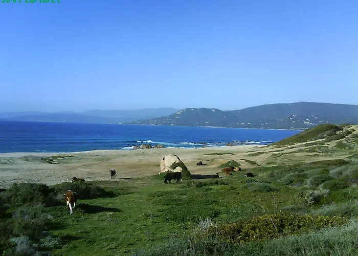 T2 400m Plages Et Commerces Excellent Rapport Qualite Prix! * Propriano (Corsica)