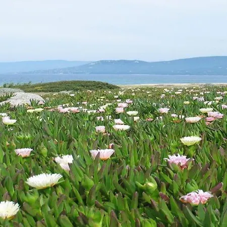 T2 400m Plages Et Commerces Excellent Rapport Qualite Prix! Σπίτι διακοπών *