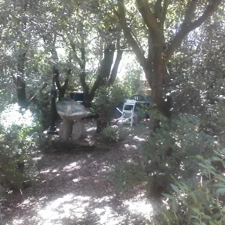 T2 400m Plages Et Commerces Excellent Rapport Qualite Prix! Σπίτι διακοπών *