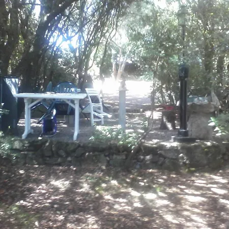 T2 400m Plages Et Commerces Excellent Rapport Qualite Prix! * Propriano (Corsica)