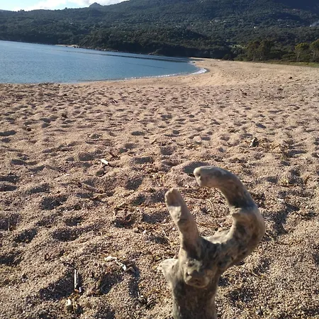 Σπίτι διακοπών T2 400m Plages Et Commerces Excellent Rapport Qualite Prix! *