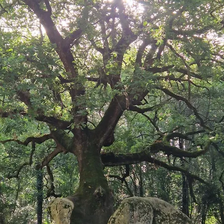 T2 400m Plages Et Commerces Excellent Rapport Qualite Prix! Σπίτι διακοπών