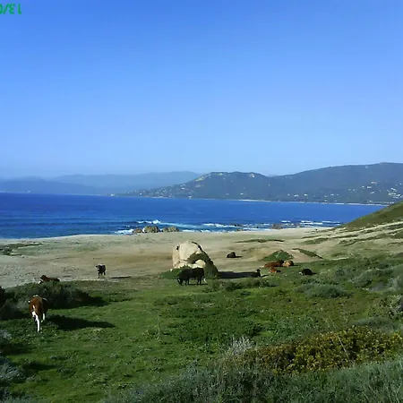 T2 400m Plages Et Commerces Excellent Rapport Qualite Prix! * Propriano (Corsica)
