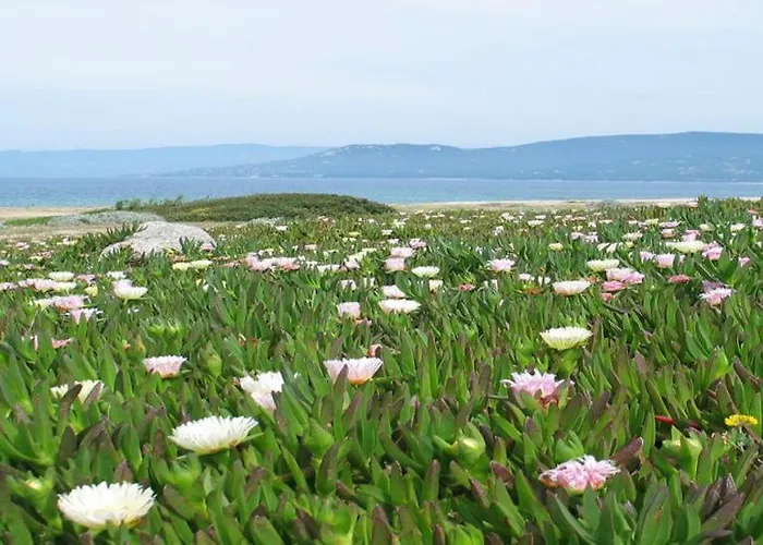 T2 400m Plages Et Commerces Excellent Rapport Qualite Prix! 度假居 *