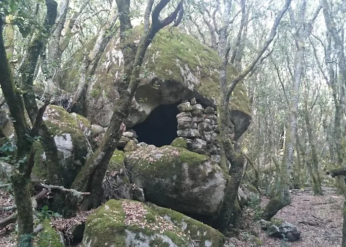 T2 400m Plages Et Commerces Excellent Rapport Qualite Prix!