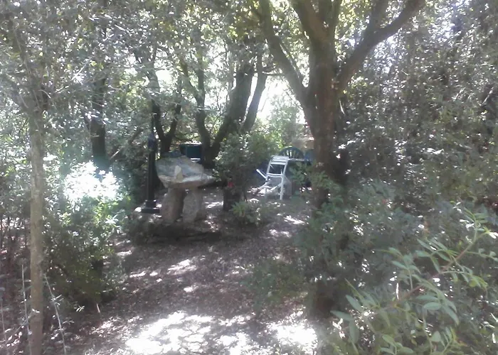 T2 400m Plages Et Commerces Excellent Rapport Qualite Prix! Tatil Evi *