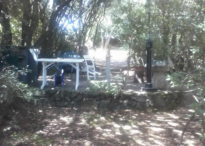 T2 400m Plages Et Commerces Excellent Rapport Qualite Prix! * Propriano (Corsica)