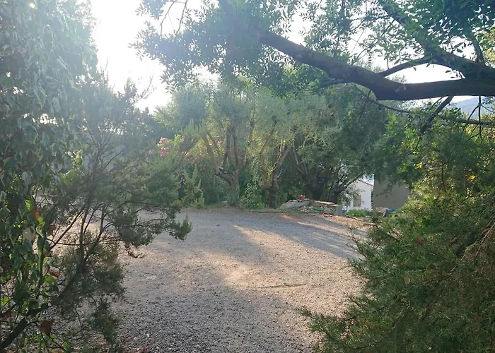 T2 400m Plages Et Commerces Excellent Rapport Qualite Prix! 普罗普里亚诺