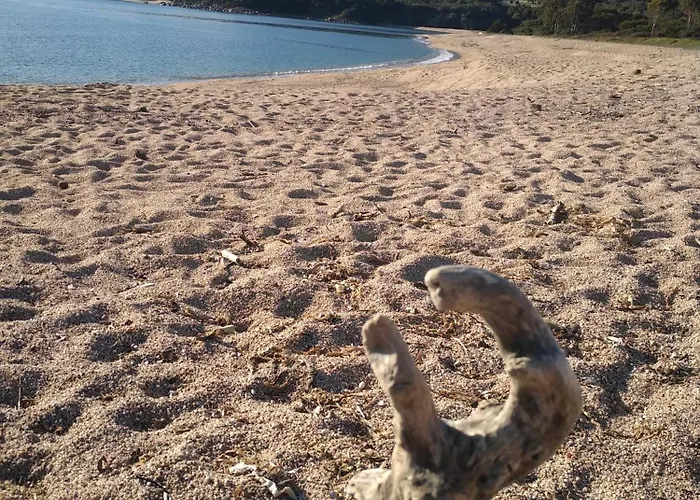 度假居 T2 400m Plages Et Commerces Excellent Rapport Qualite Prix! *