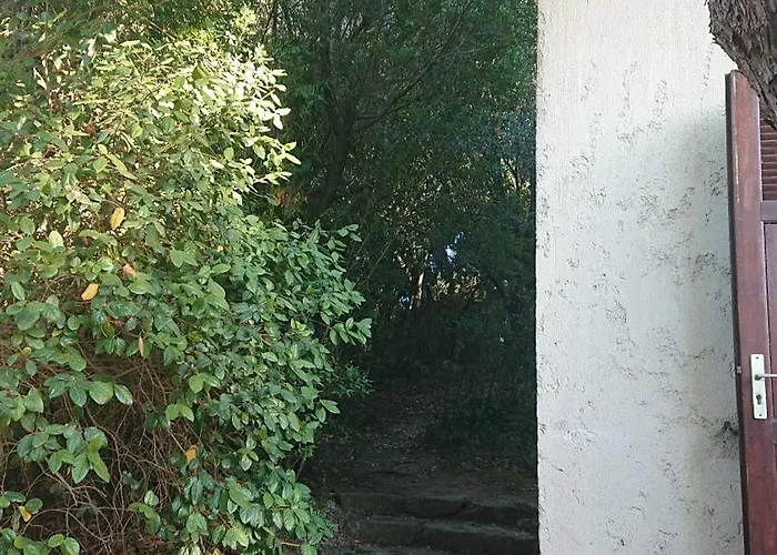 T2 400m Plages Et Commerces Excellent Rapport Qualite Prix! * 普罗普里亚诺