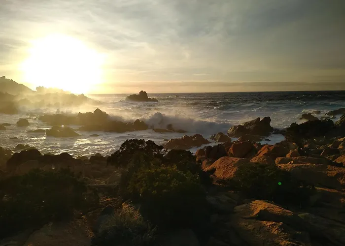 T2 400m Plages Et Commerces Excellent Rapport Qualite Prix! Tatil Evi Propriano (Corsica)