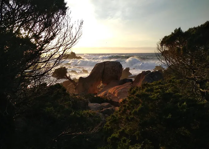 T2 400m Plages Et Commerces Excellent Rapport Qualite Prix!