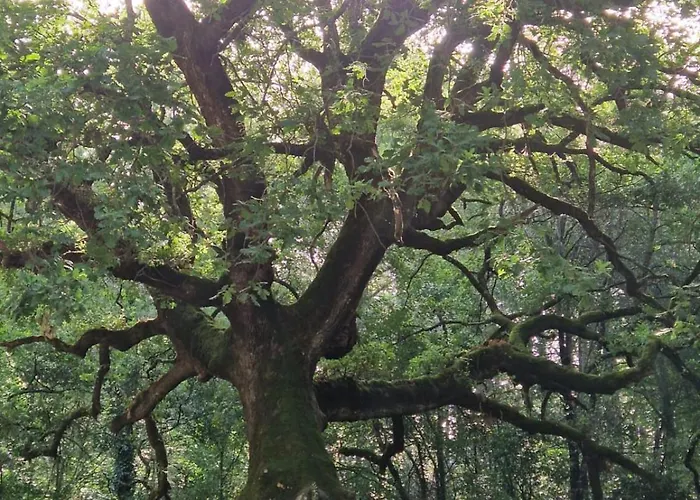 T2 400m Plages Et Commerces Excellent Rapport Qualite Prix! Tatil Evi