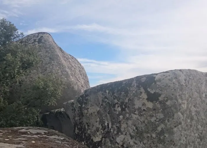 T2 400m Plages Et Commerces Excellent Rapport Qualite Prix! Tatil Evi *