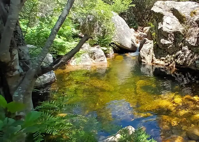 T2 400m Plages Et Commerces Excellent Rapport Qualite Prix!